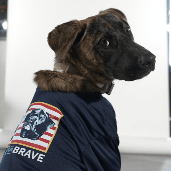Youth Dog T-Shirt – Dogs For Our Brave